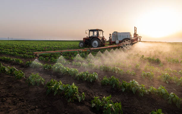Best Local Pest Control Services  in Sauk Vlage, IL