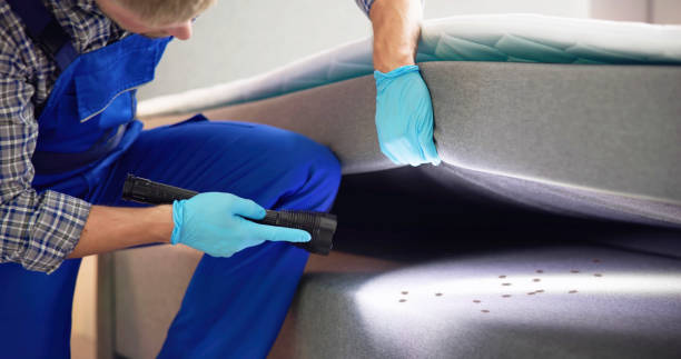 Professional Pest Control in Sauk Village, IL